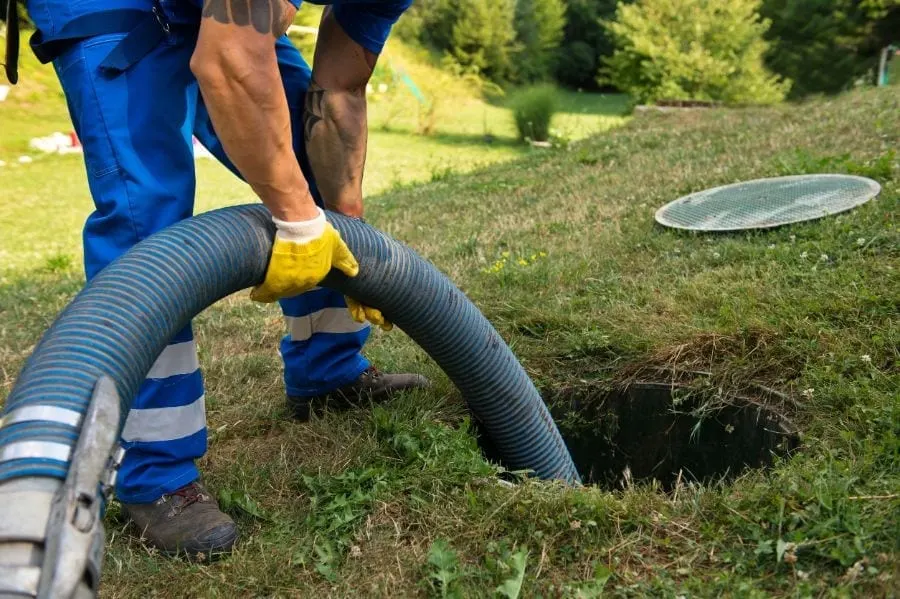 ACTIVADOR BIOLOGICO PARA PLANTA