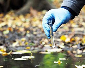 Bacterias y enzimas en fosas sépticas, plantas de tratamiento de aguas residuales, estanques ...